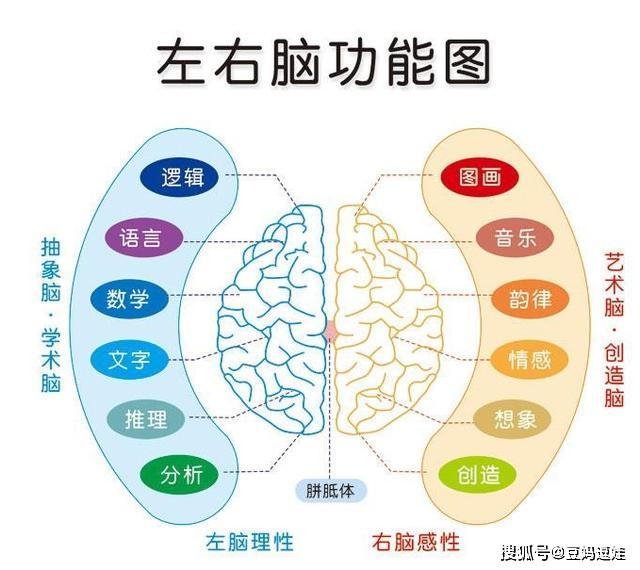 最新脑科学研究揭秘，探索未知的大脑奥秘